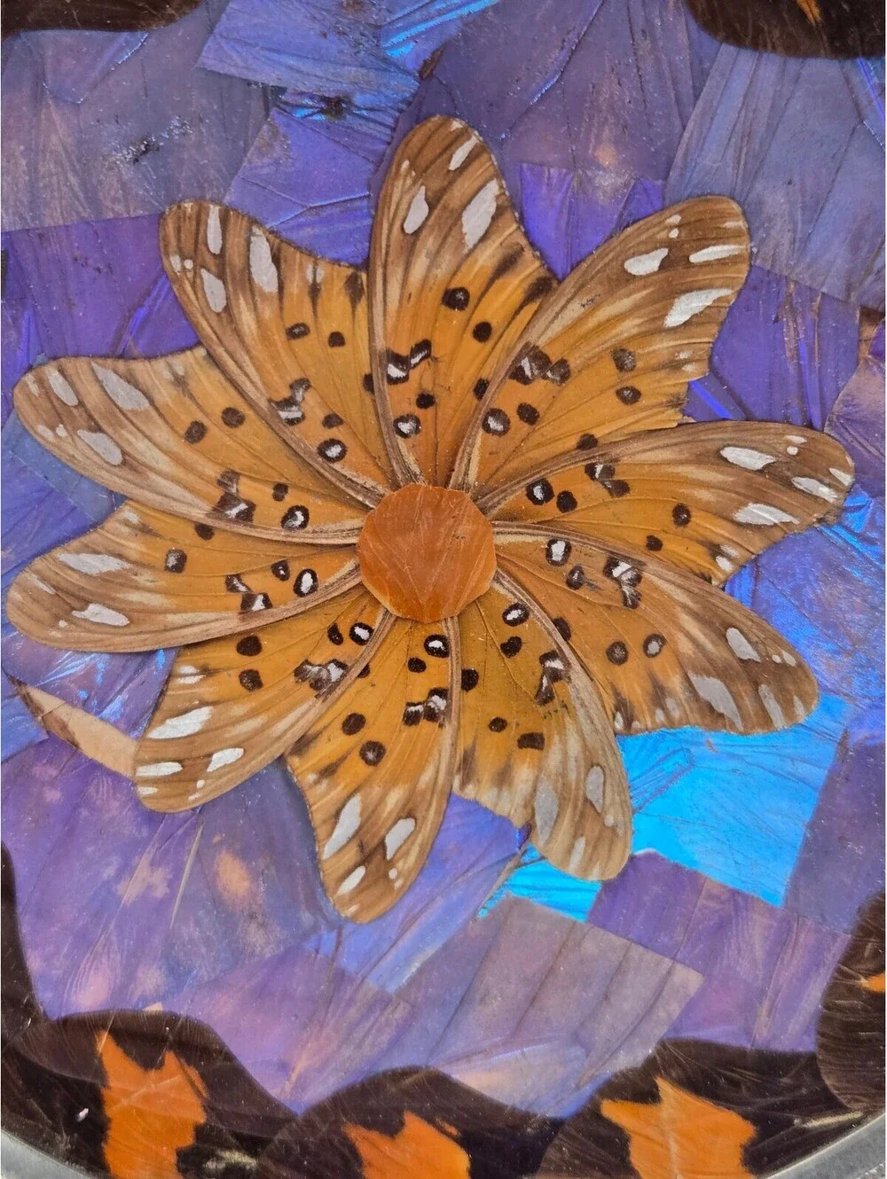 Casa Estylo Santos, Vtg MCM Real Blue Morpho Butterfly Wing Art Plate 4.75